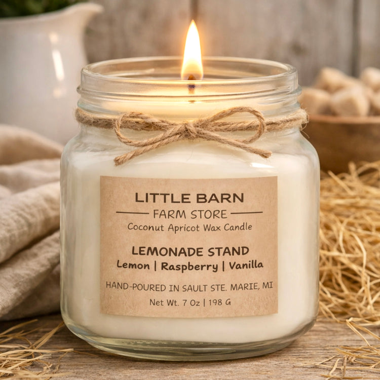 Lemonade Stand Candle - Citrus, Raspberry & Vanilla