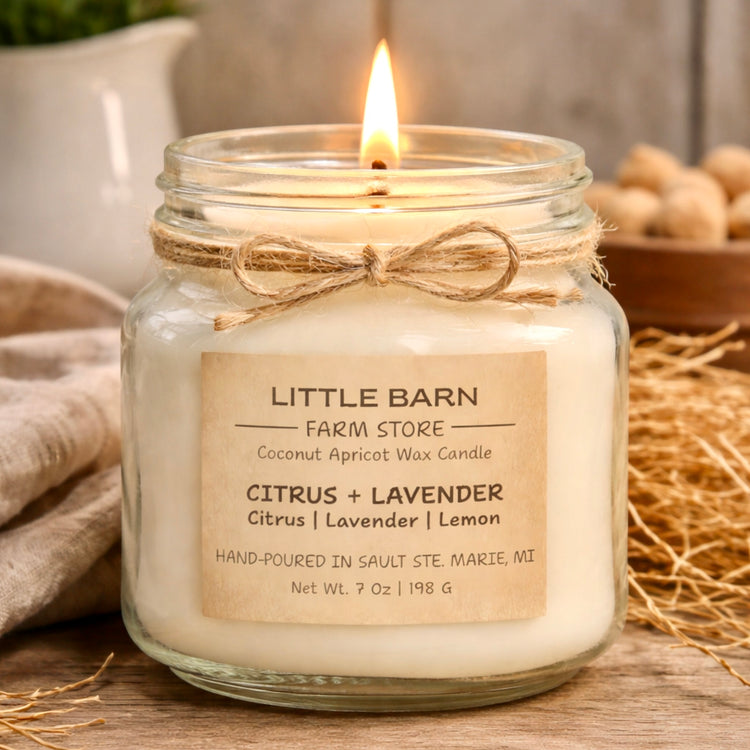 Citrus + Lavender Candle - Citrus, Lavender & Lemon